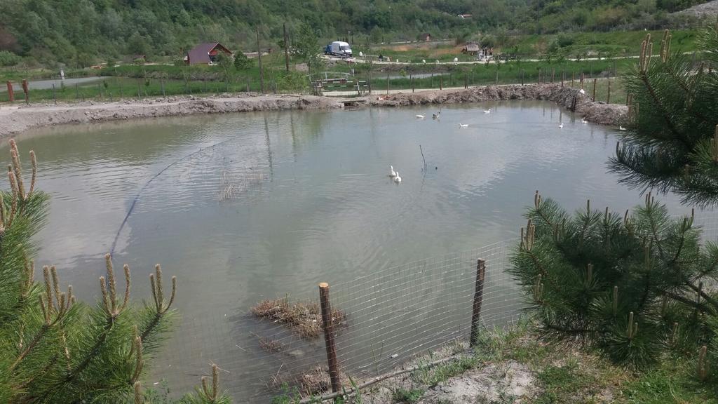 Pensiunea Dely_Cios Vălenii de Munte Dış mekan fotoğraf