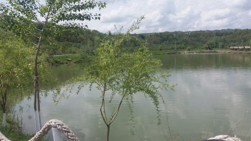 Pensiunea Dely_Cios Vălenii de Munte Dış mekan fotoğraf